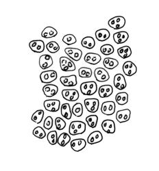Leratia obtusifolia, upper laminal cells.
 Image: R.C. Wagstaff © All rights reserved. Redrawn with permission from Lewinsky (1990). 